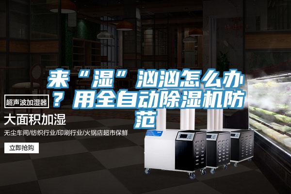 來“濕”洶洶怎麽辦？用全自動香蕉视频国产防範