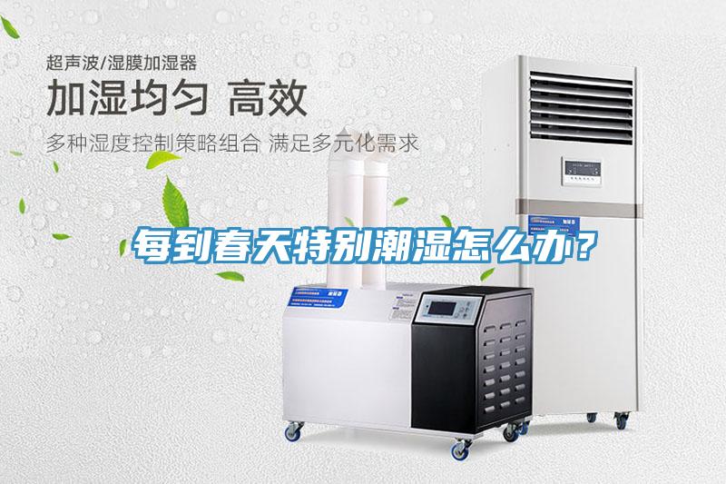 每到春天特別潮濕怎麽辦？