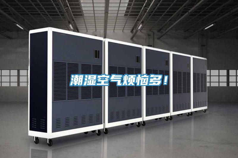 潮濕空氣煩惱多！