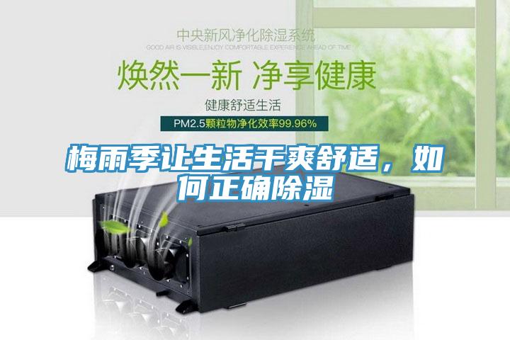 梅雨季讓生活幹爽舒適，如何正確除濕