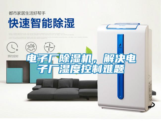 電子廠香蕉视频国产，解決電子廠濕度控製難題
