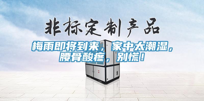 梅雨即將到來，家中太潮濕，腰骨酸疼，別慌！