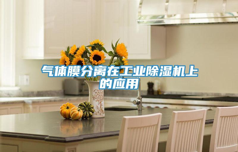 氣體膜分離在工業香蕉视频国产上的應用