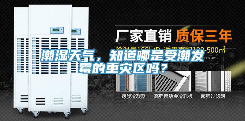 潮濕天氣，知道哪是受潮發黴的重災區嗎？