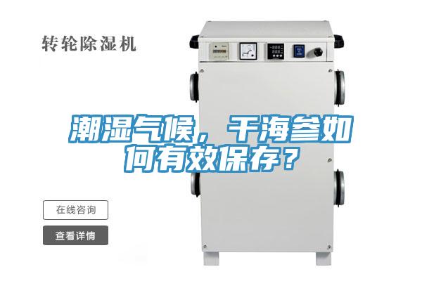 潮濕氣候，幹海參如何有效保存？