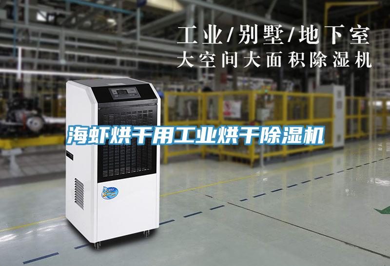 海蝦烘幹用工業烘幹香蕉视频国产
