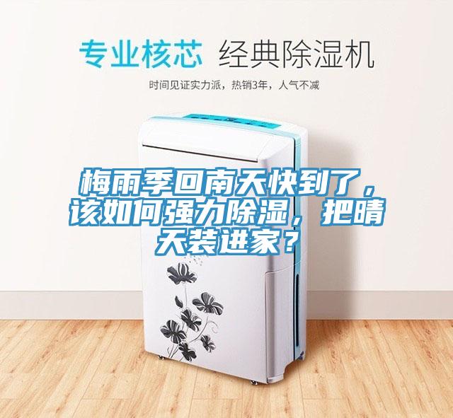 梅雨季回南天快到了，該如何強力除濕，把晴天裝進家？