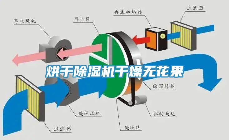 烘幹香蕉视频国产幹燥無花果