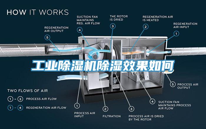 工業香蕉视频国产除濕效果如何