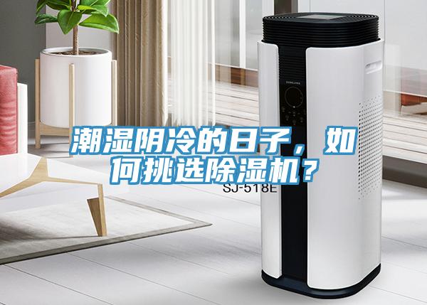 潮濕陰冷的日子，如何挑選香蕉视频国产？