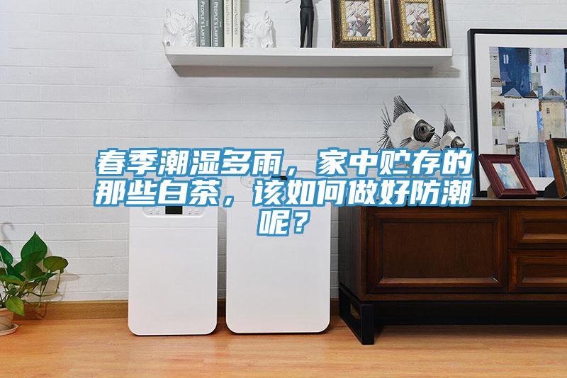 春季潮濕多雨，家中貯存的那些白茶，該如何做好防潮呢？
