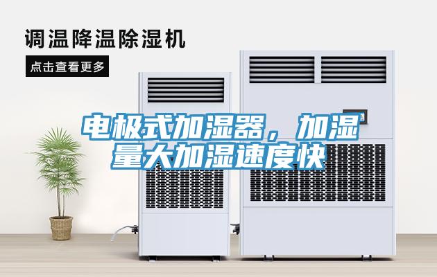 電極式加濕器，加濕量大加濕速度快