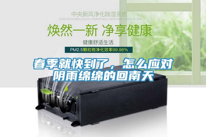 春季就快到了，怎麽應對陰雨綿綿的回南天