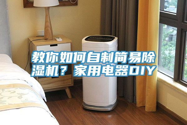 教你如何自製簡易香蕉视频国产？家用電器DIY