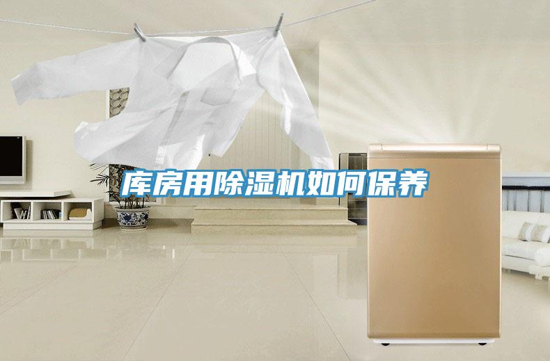 庫房用香蕉视频国产如何保養