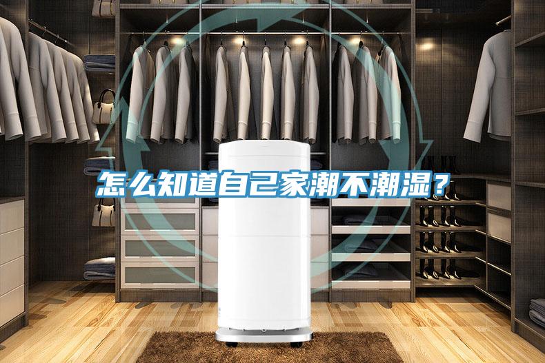 怎麽知道自己家潮不潮濕？