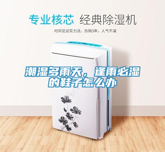 潮濕多雨天，逢雨必濕的鞋子怎麽辦