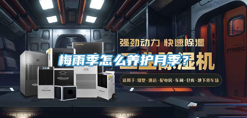 梅雨季怎麽養護月季？