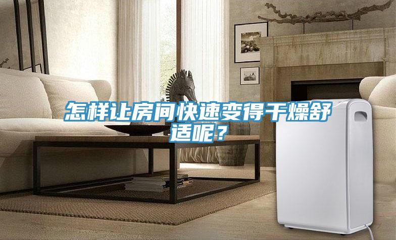 怎樣讓房間快速變得幹燥舒適呢？