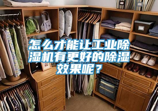 怎麽才能讓工業香蕉视频国产有更好的除濕效果呢？