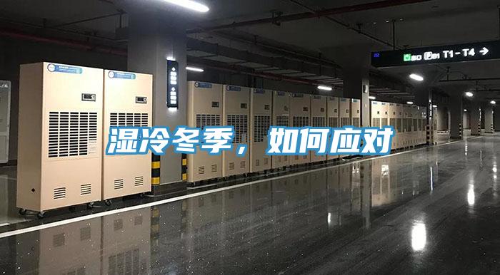濕冷冬季，如何應對