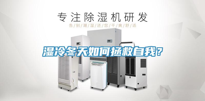 濕冷冬天如何拯救自我？
