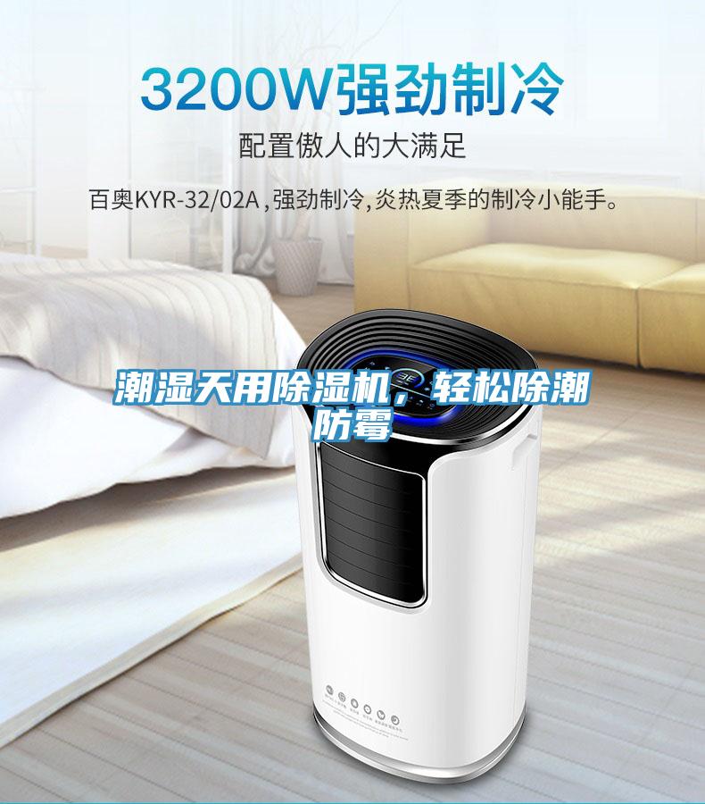 潮濕天用香蕉视频国产，輕鬆除潮防黴