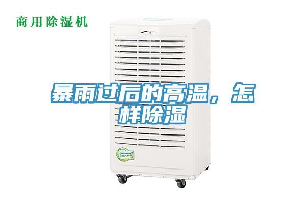 暴雨過後的高溫，怎樣除濕