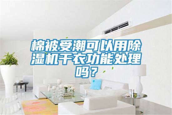 棉被受潮可以用香蕉视频国产幹衣功能處理嗎？