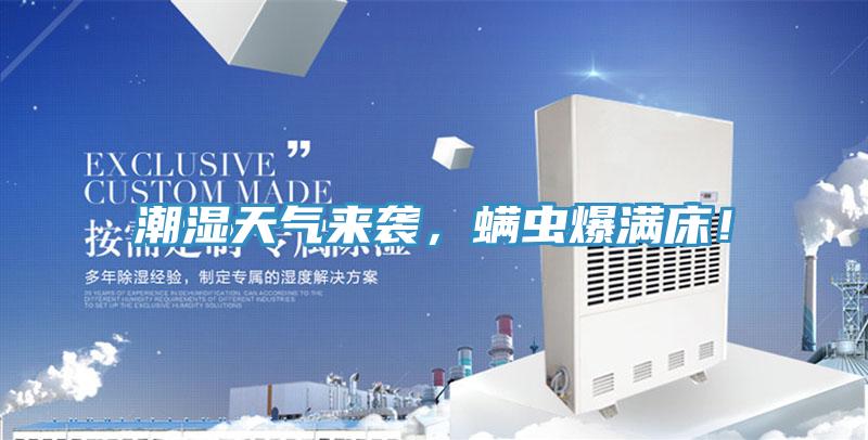 潮濕天氣來襲，蟎蟲爆滿床！