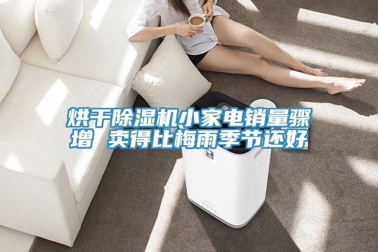 烘幹香蕉视频国产小家電銷量驟增 賣得比梅雨季節還好