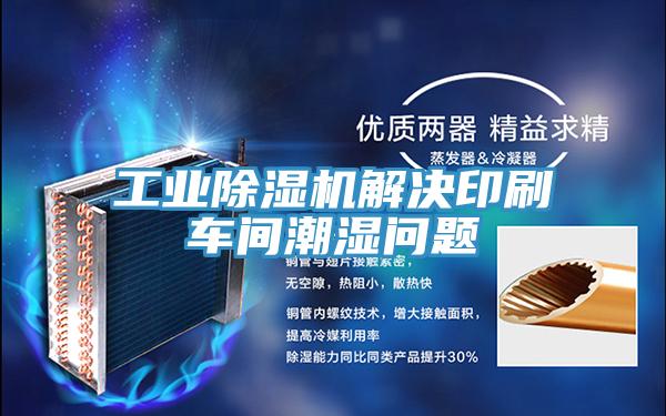 工業香蕉视频国产解決印刷車間潮濕問題