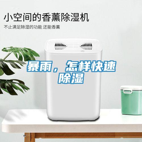 暴雨，怎樣快速除濕