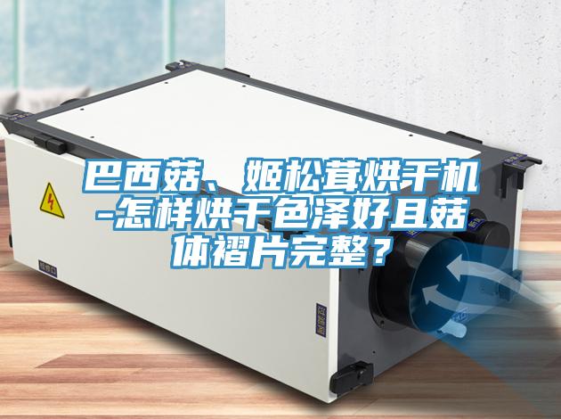 巴西菇、姬鬆茸烘幹機-怎樣烘幹色澤好且菇體褶片完整？