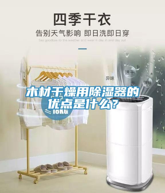 木材幹燥用除濕器的優點是什麽？