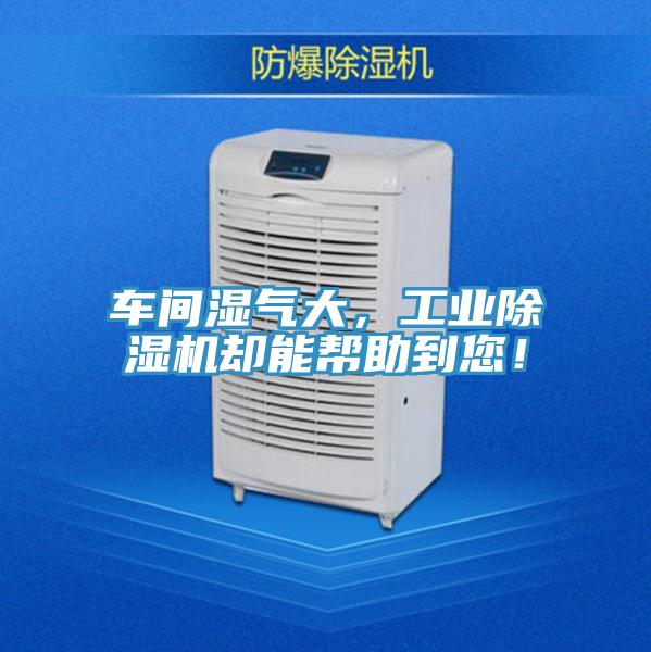 車間濕氣大，工業香蕉视频国产卻能幫助到您！