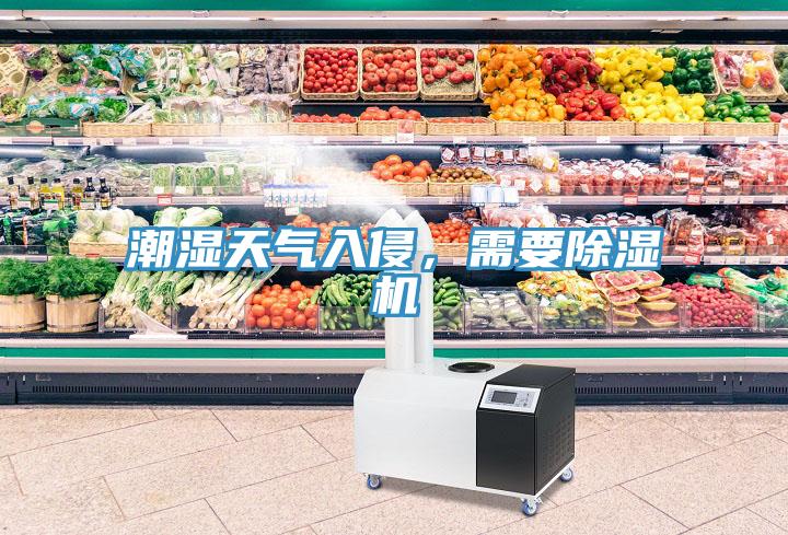 潮濕天氣入侵，需要香蕉视频国产