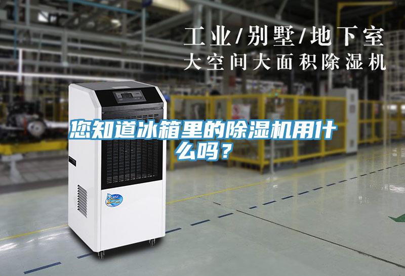您知道冰箱裏的香蕉视频国产用什麽嗎？