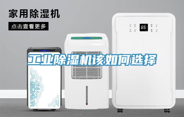 工業香蕉视频国产該如何選擇