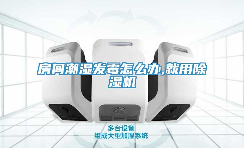 房間潮濕發黴怎麽辦,就用香蕉视频国产