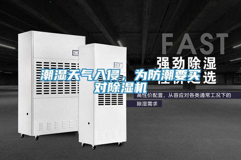 潮濕天氣入侵，為防潮要買對香蕉视频国产