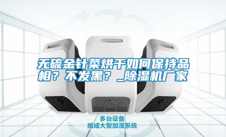 無硫金針菜烘幹如何保持品相？不發黑？_香蕉视频国产廠家