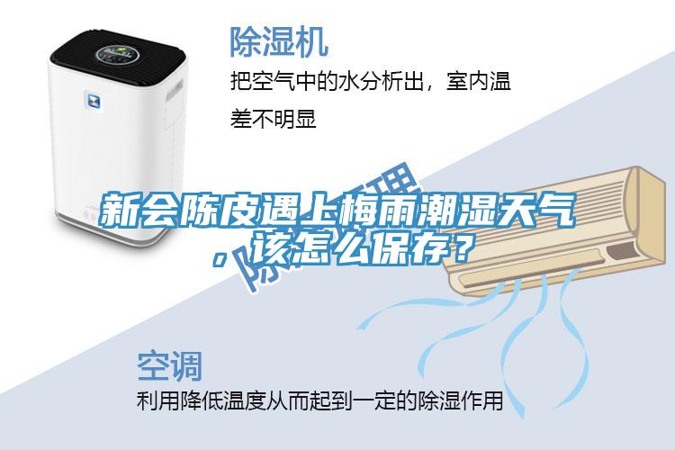 新會陳皮遇上梅雨潮濕天氣，該怎麽保存？