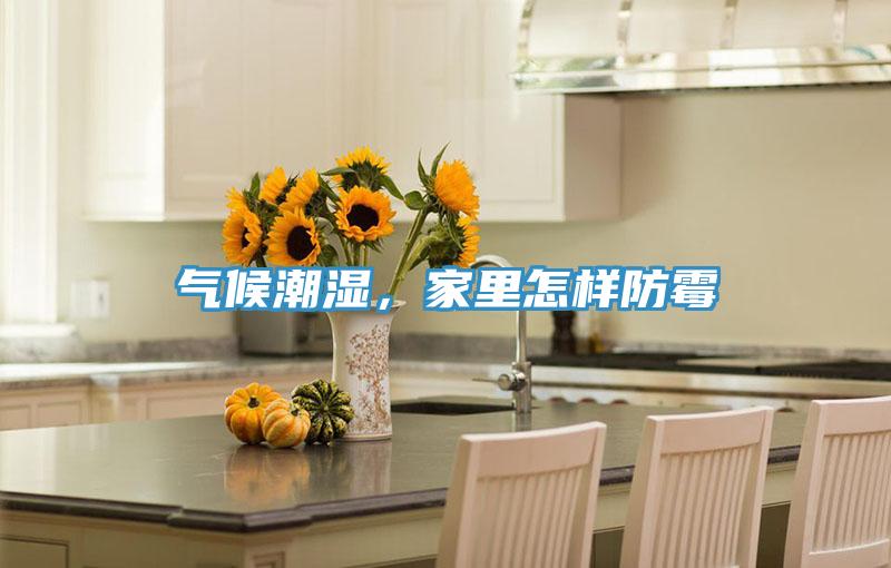 氣候潮濕，家裏怎樣防黴