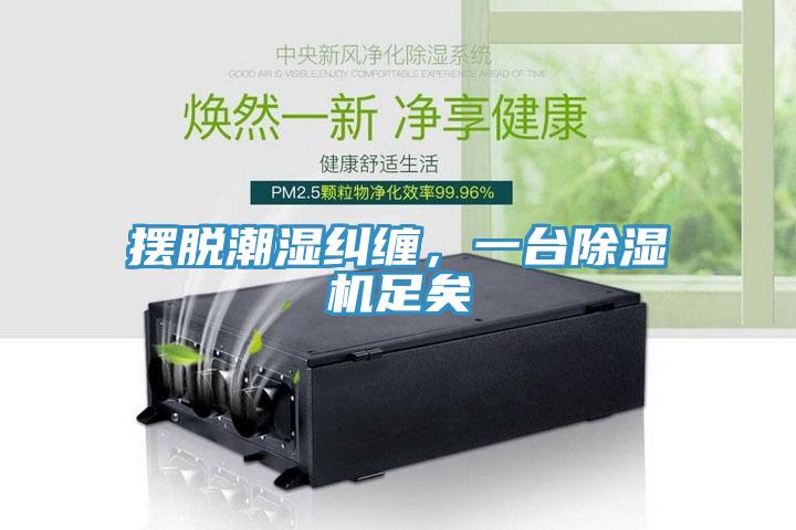 擺脫潮濕糾纏，一台香蕉视频国产足矣