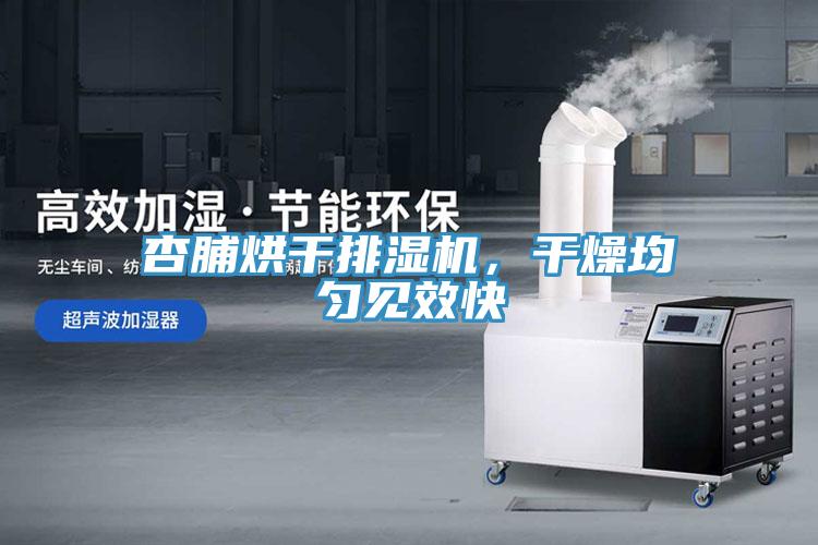 杏脯烘幹排濕機，幹燥均勻見效快