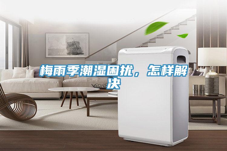 梅雨季潮濕困擾，怎樣解決