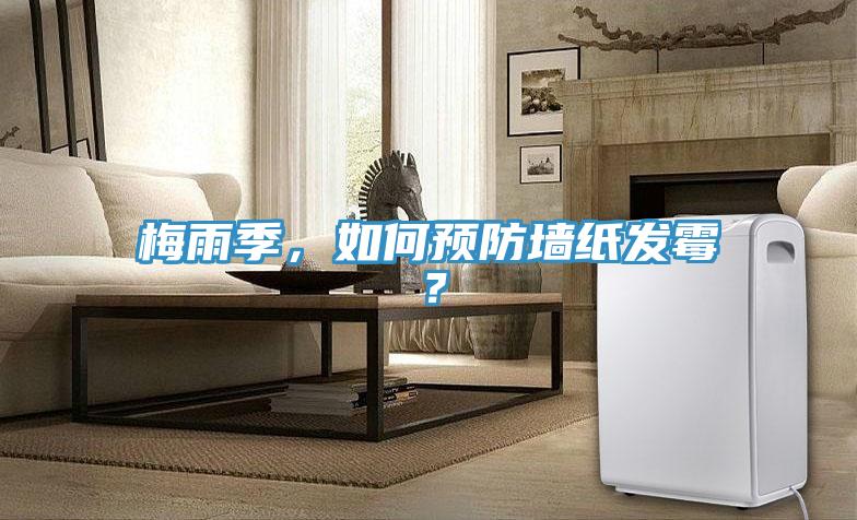梅雨季，如何預防牆紙發黴？