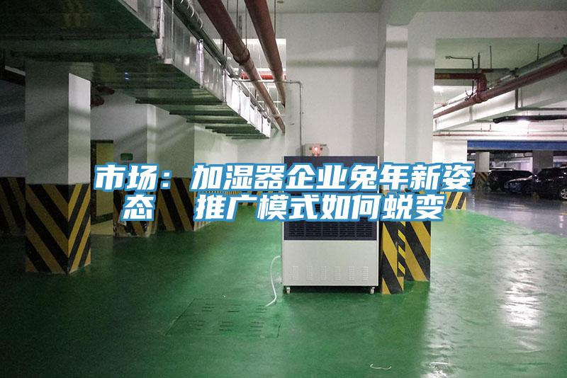 市場：加濕器企業兔年新姿態  推廣模式如何蛻變