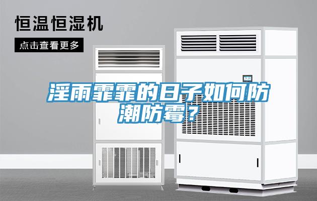淫雨霏霏的日子如何防潮防黴？